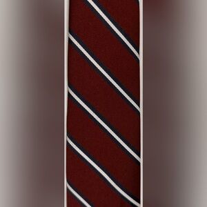 JOHN WEITZ Stripped Tie